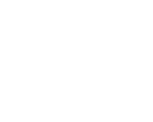 Baerz-logo